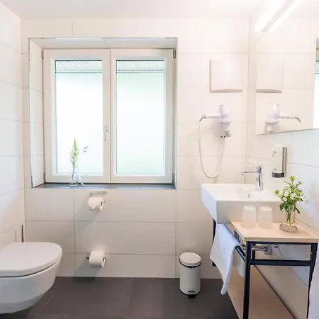 & Restaurant Muehlenglueck Oppenau