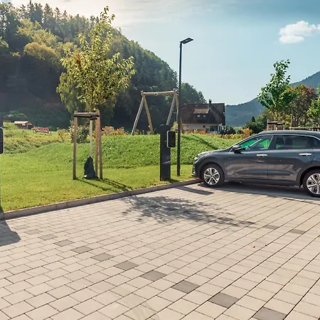 Hotel, Cafe & Restaurant Muehlenglueck Отель Оппенау